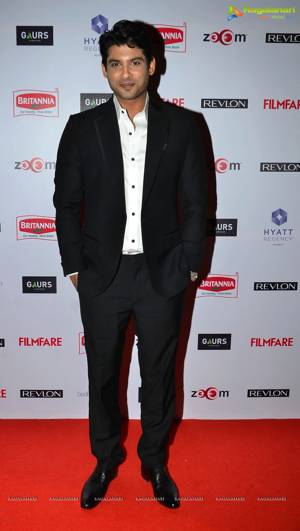 Celebs at the Red Carpet of '60th Britannia Filmfare Awards 2014'