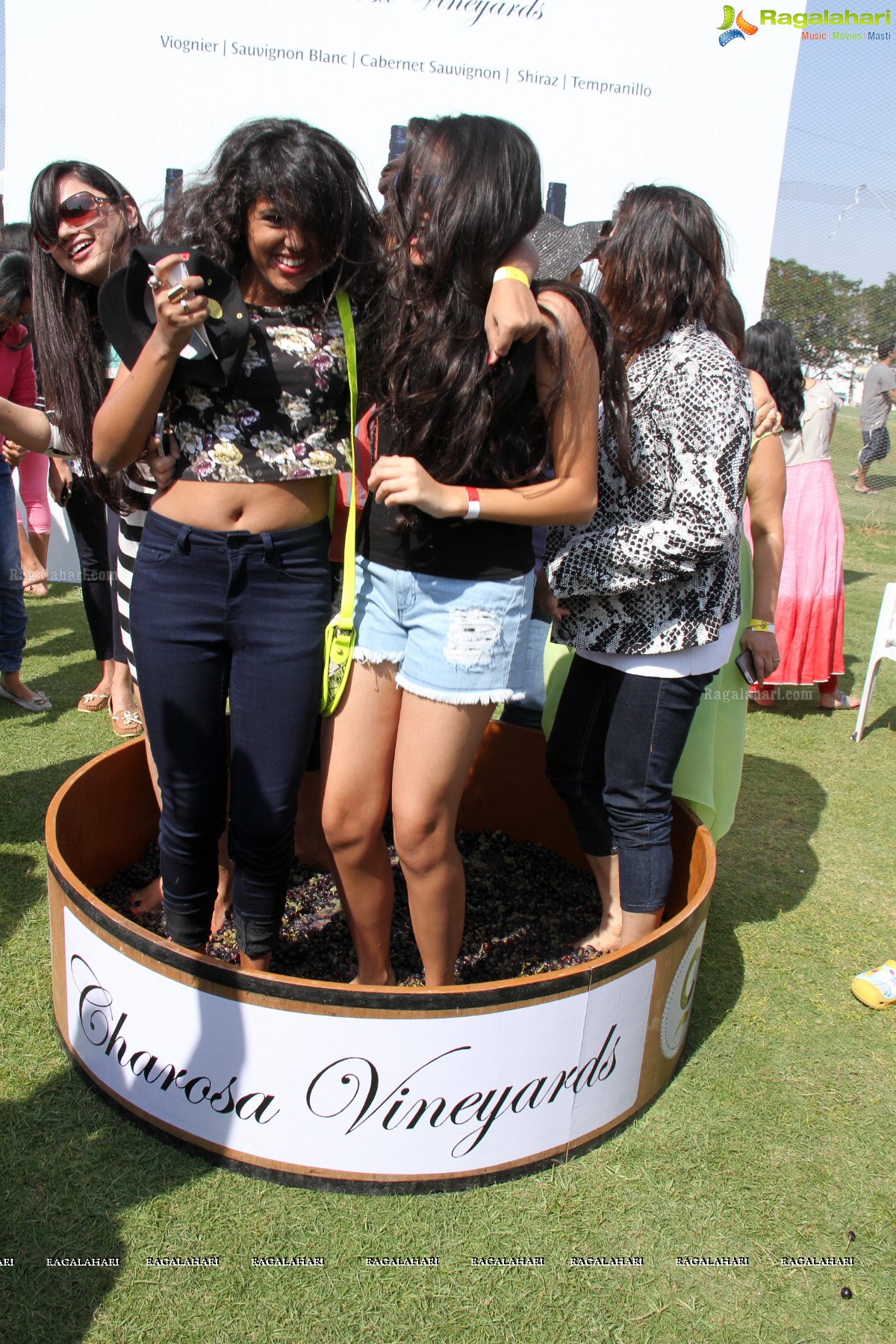 Grape Stomping by Charosa Vineyards at Hyderabad Golf Club