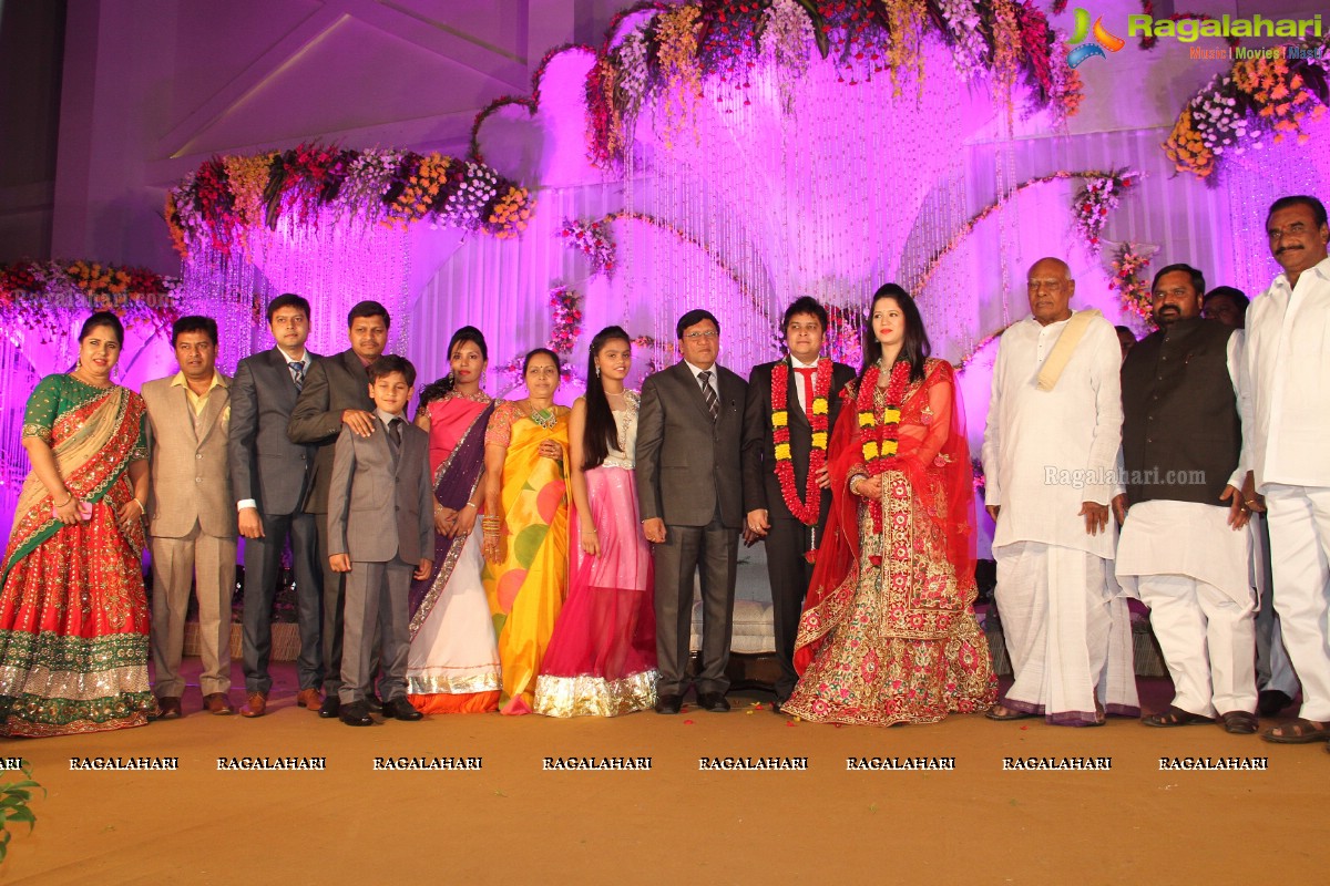 Wedding Reception of Swaroop Soma-Yachika Dhawan