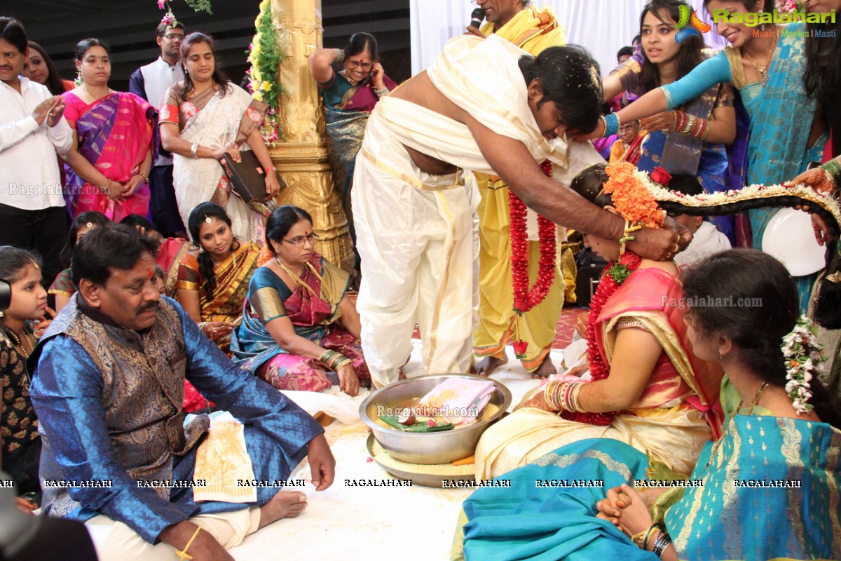 Pradeep Kumar-Swathi Wedding Celebrations