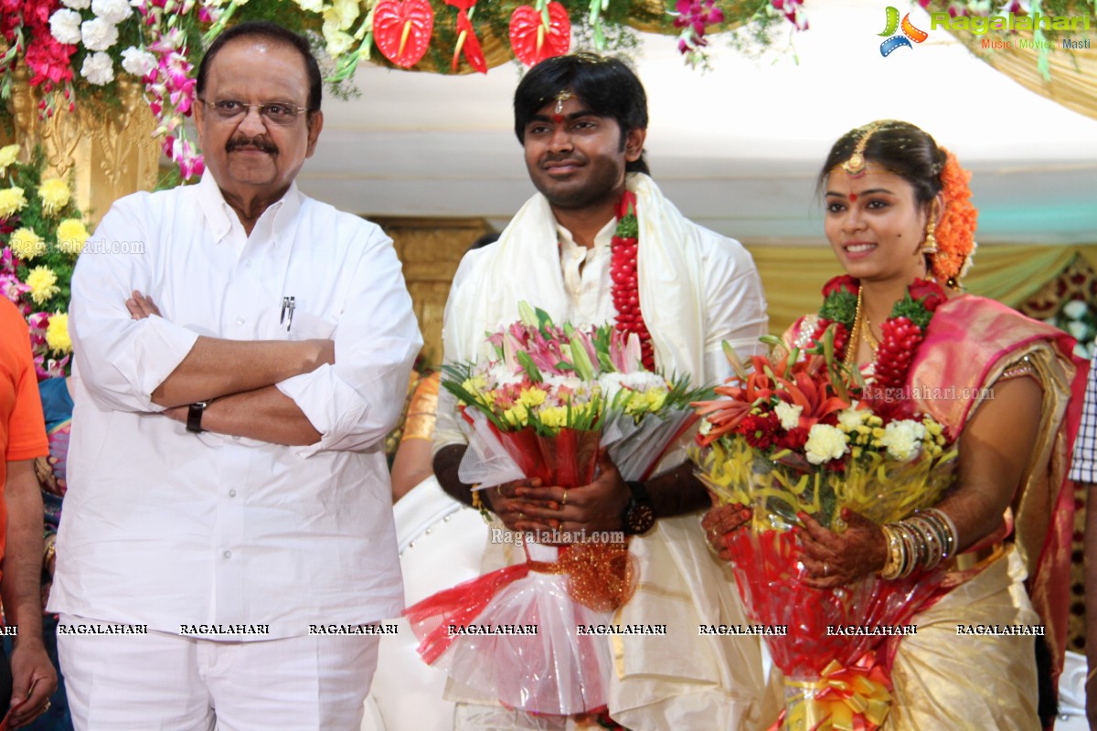 Pradeep Kumar-Swathi Wedding Celebrations