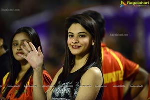 Celebrity Cricket League