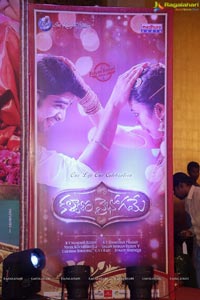 Kalyana Vaibhogame Audio Release Photos