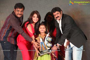 Dictator Audio Success Meet Photos