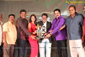 Dictator Audio Success Meet Photos