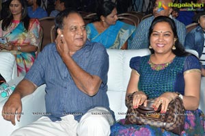 Dictator Audio Success Meet Photos