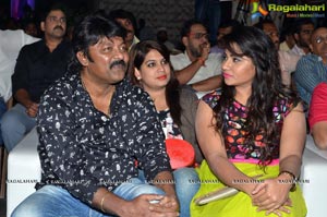 Dictator Audio Success Meet Photos