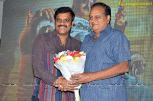 Dictator Audio Success Meet Photos