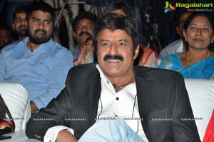 Dictator Audio Success Meet Photos