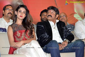 Dictator Success Meet