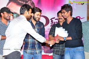 Express Raja Success Meet