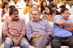 Kalyana Vaibhogame Audio Release Photos