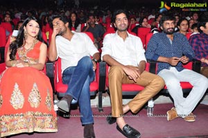 Krishna Gadi Veera Prema Gadha Audio Release