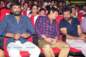 Krishna Gadi Veera Prema Gadha Audio Release