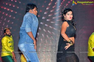 Krishna Gadi Veera Prema Gadha Audio Release