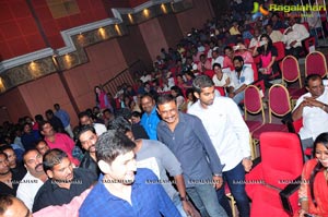 Krishna Gadi Veera Prema Gadha Audio Release