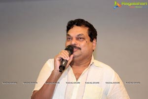 Nenu Sailaja Success Meet