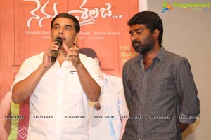 Nenu Sailaja Success Meet