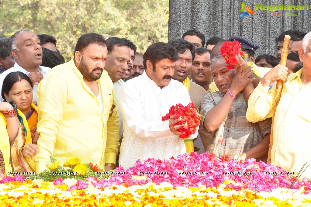 Nandamuri Family Members at NTR Ghat