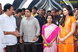 Nandamuri Family Members at NTR Ghat