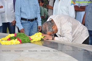 Nandamuri Family Members at NTR Ghat