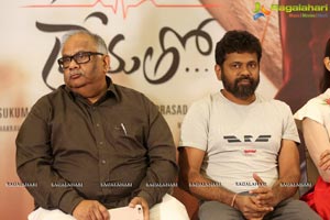 Nannaku Prematho Grand Success Meet Photos