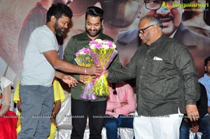 Nannaku Prematho Grand Success Meet Photos