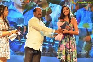 Shaurya Audio Release Photos