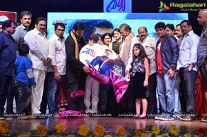 Shaurya Audio Release Photos