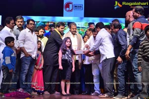 Shaurya Audio Release Photos