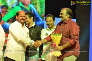 Shaurya Audio Release Photos