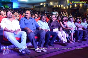 Shaurya Audio Release Photos