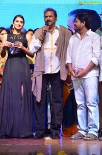 Shaurya Audio Release Photos