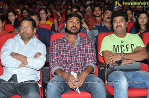 Shaurya Audio Release Photos