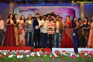 Speedunnodu Audio Release