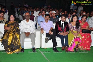 Vinodam 100 Percent Audio Release