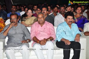 Vinodam 100 Percent Audio Release