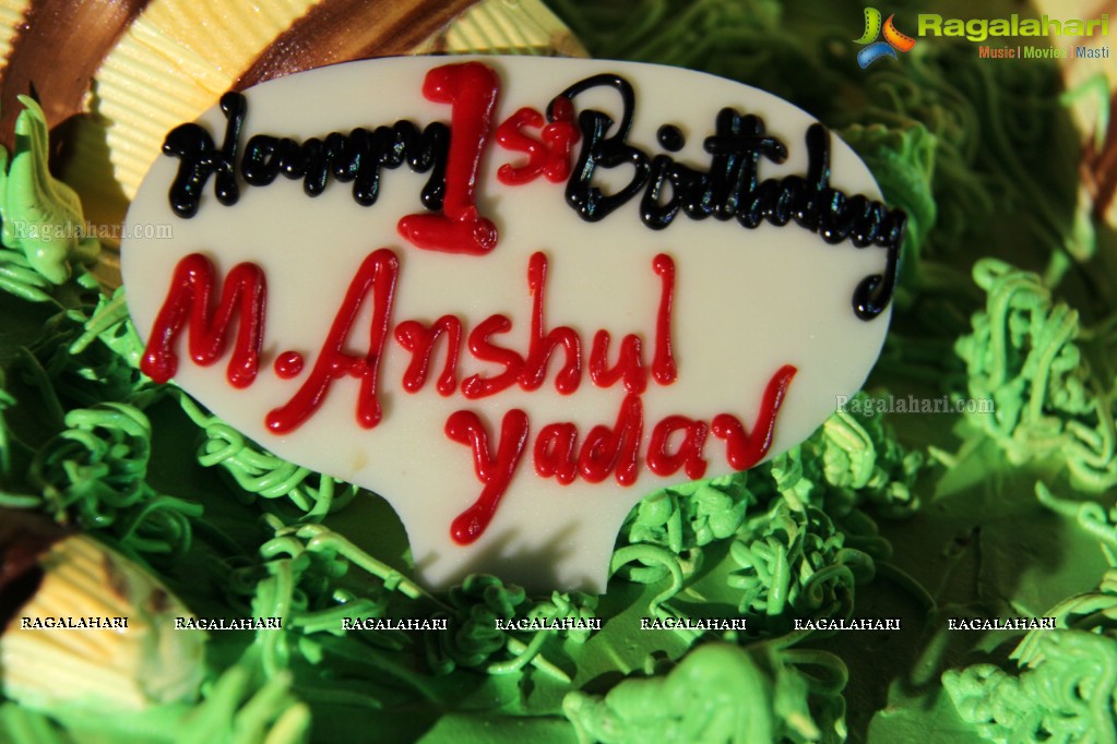 Anshul Yadav 1st Birthday Celebrations at Red Rose Palace