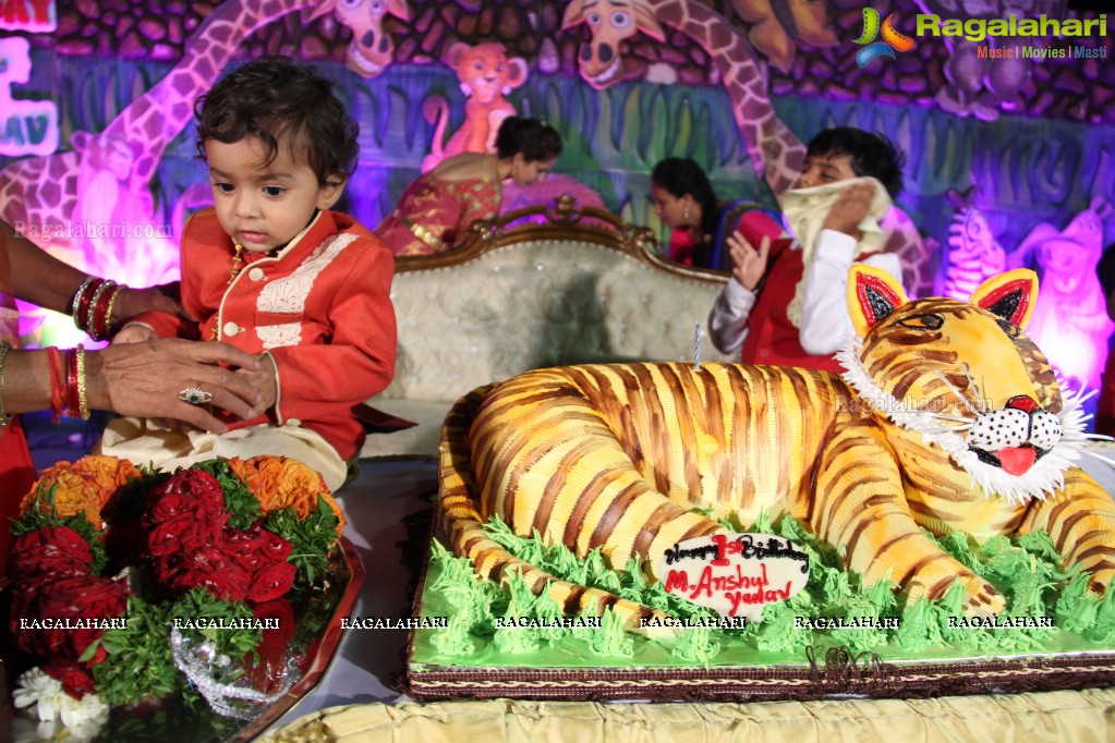 Anshul Yadav 1st Birthday Celebrations at Red Rose Palace