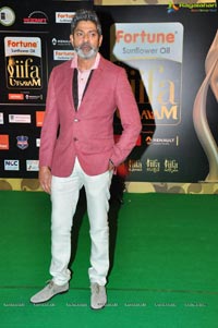 IIFA 2016