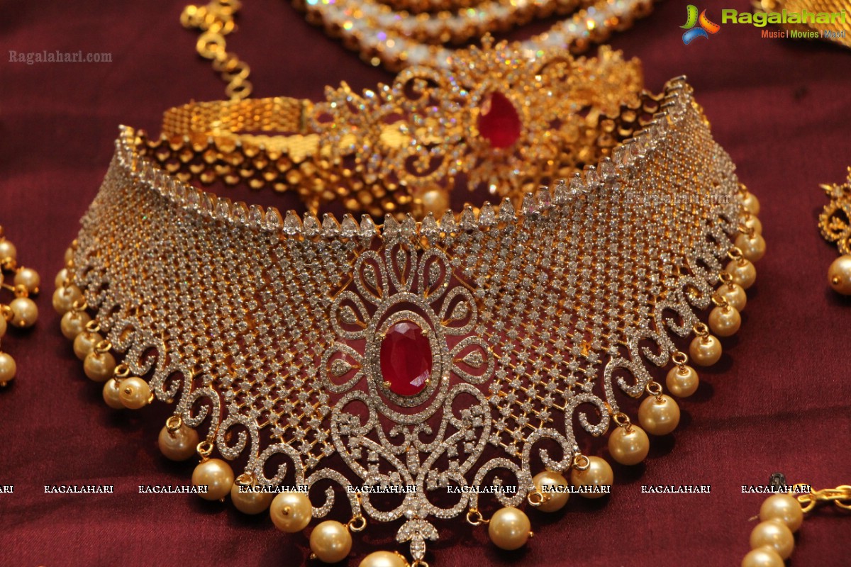 Sashi Nahata's Glitz and Glam Exhibition and Sale (Jan. 2016) at Taj Krishna