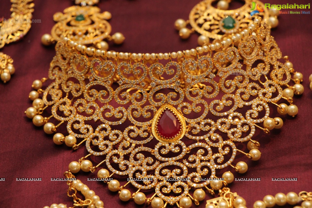 Sashi Nahata's Glitz and Glam Exhibition and Sale (Jan. 2016) at Taj Krishna