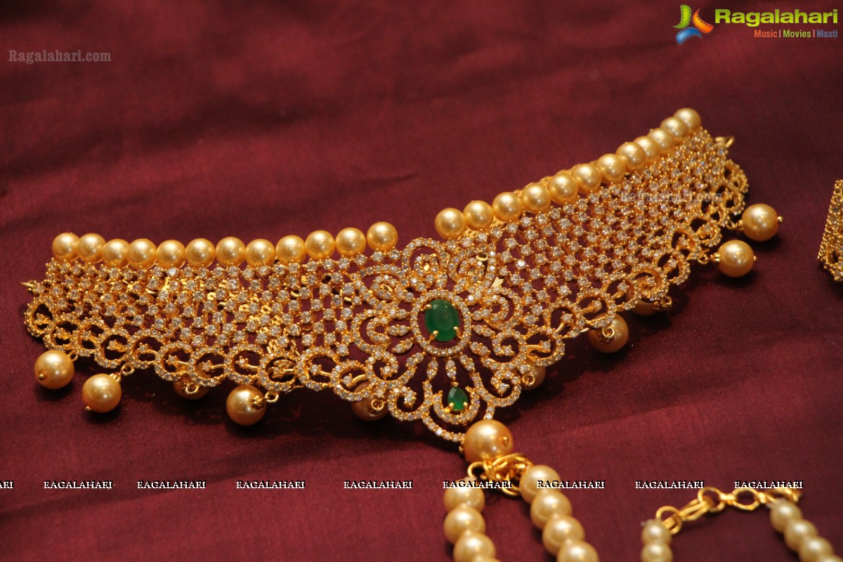 Sashi Nahata's Glitz and Glam Exhibition and Sale (Jan. 2016) at Taj Krishna