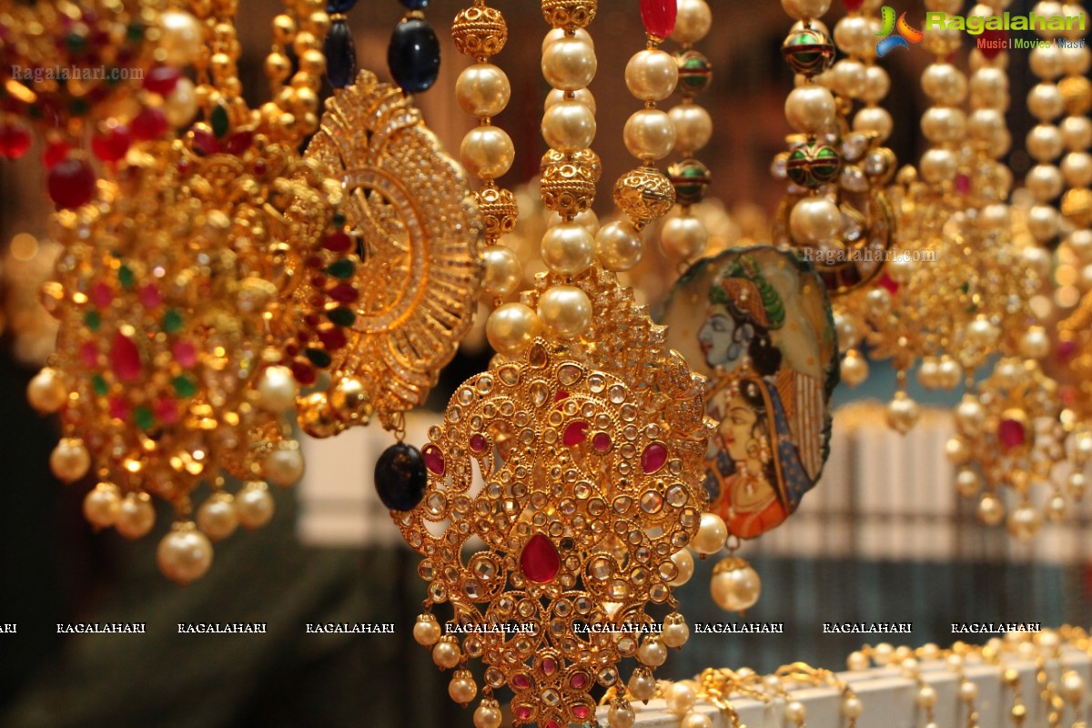 Sashi Nahata's Glitz and Glam Exhibition and Sale (Jan. 2016) at Taj Krishna