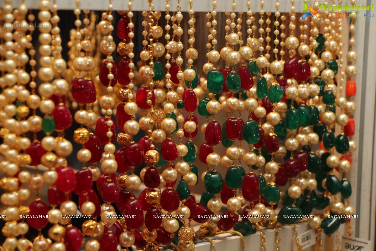 Sashi Nahata's Glitz and Glam Exhibition and Sale (Jan. 2016) at Taj Krishna