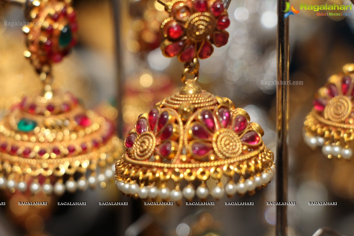 Sashi Nahata's Glitz and Glam Exhibition and Sale (Jan. 2016) at Taj Krishna