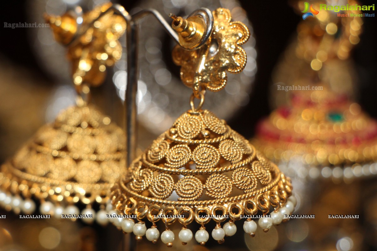 Sashi Nahata's Glitz and Glam Exhibition and Sale (Jan. 2016) at Taj Krishna