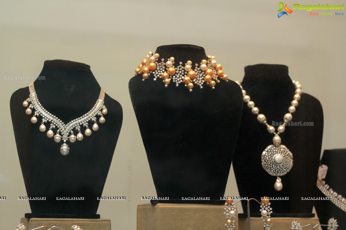 Gold Karat Jewellery Show at Taj Deccan, Hyderabad