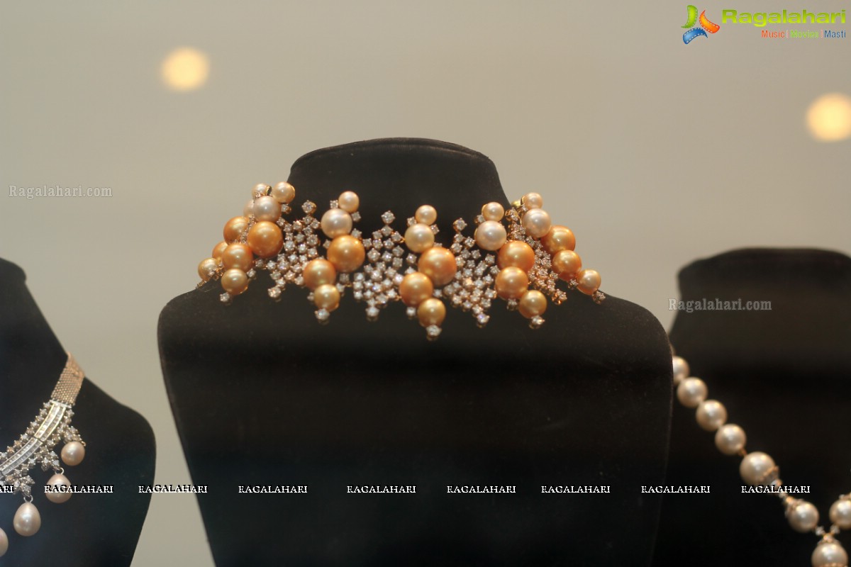 Gold Karat Jewellery Show at Taj Deccan, Hyderabad