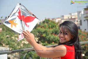 Designer Kites